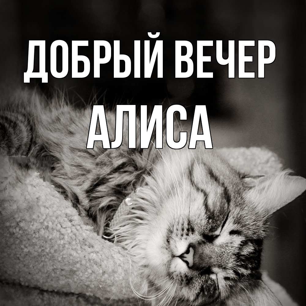 Открытка  с именем. Алиса, Добрый вечер  