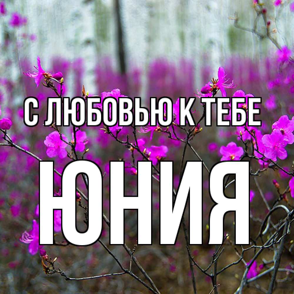 Открытка  с именем. Юния, С любовью к тебе  