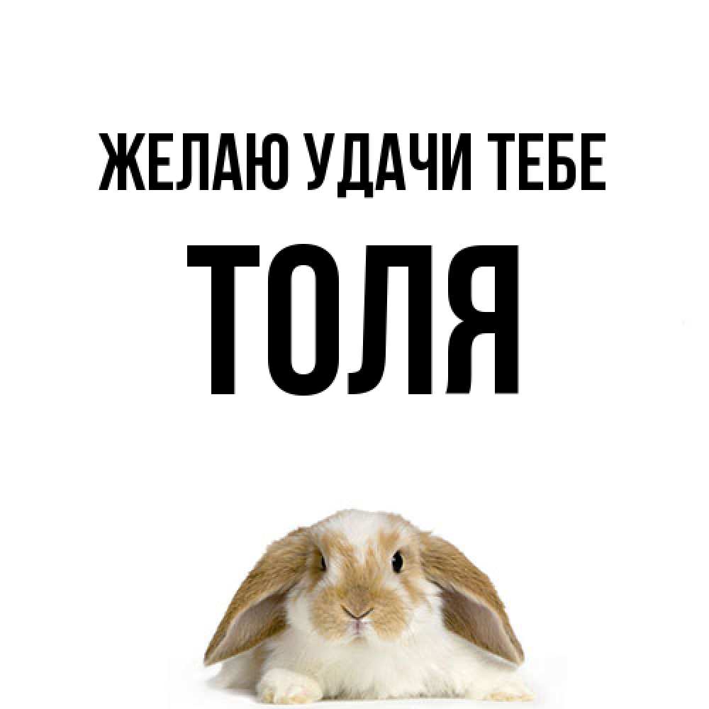 Открытка  с именем. Толя, Желаю удачи тебе  