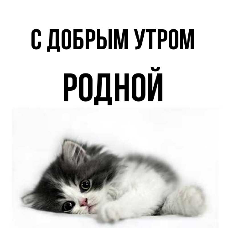 Картинка С добрым утром, Родной