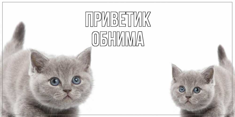 Открытка  с именем. Обнима, приветик  