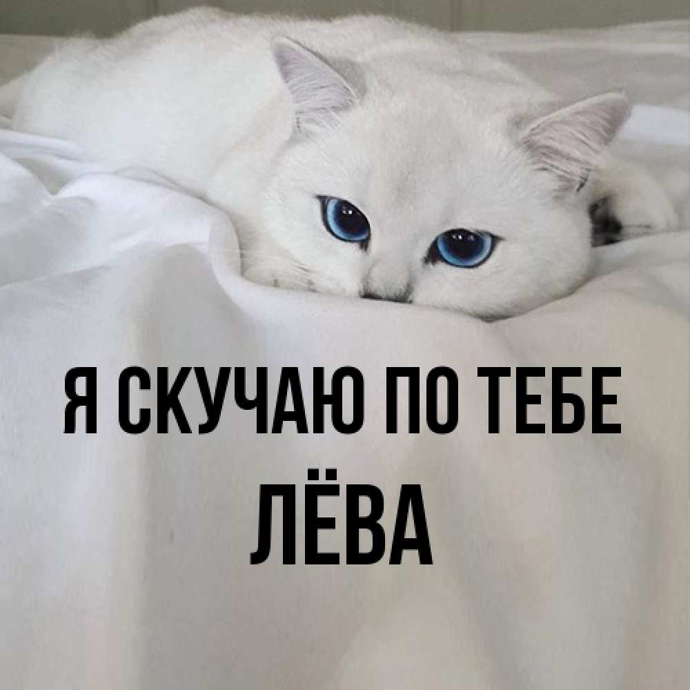 Открытка  с именем. Лёва, Я скучаю по тебе  