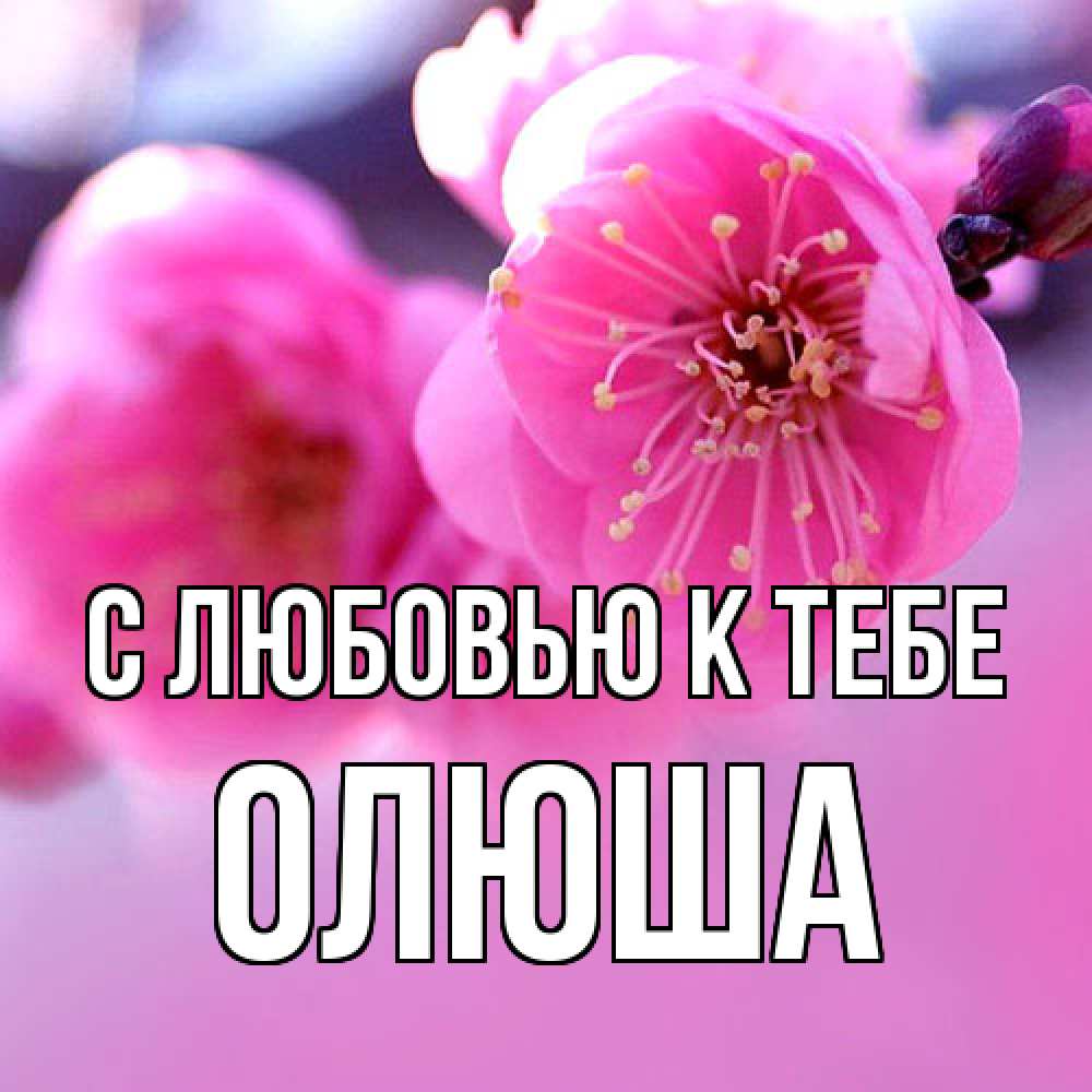 Открытка  с именем. Олюша, С любовью к тебе  