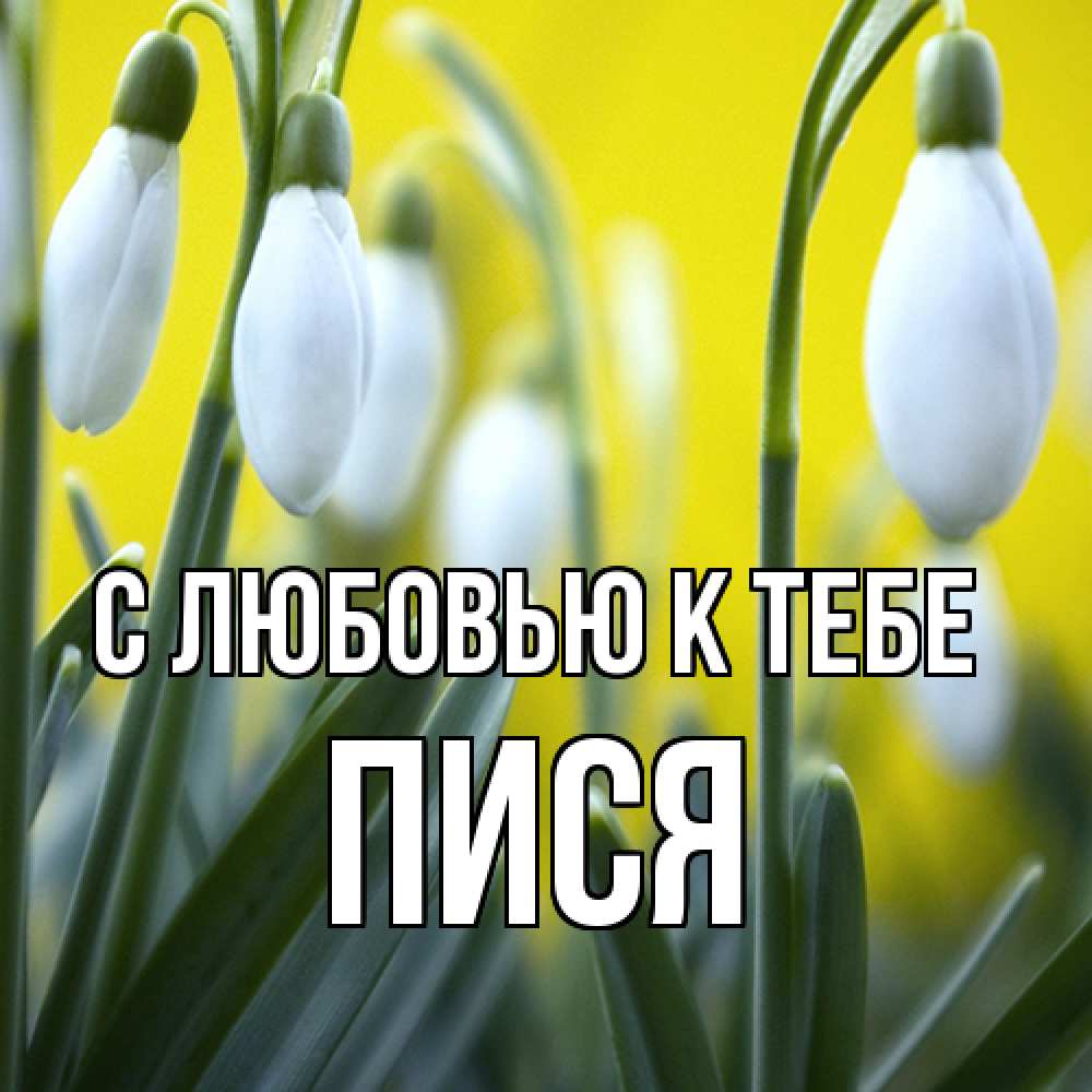 Открытка  с именем. Пися, С любовью к тебе  