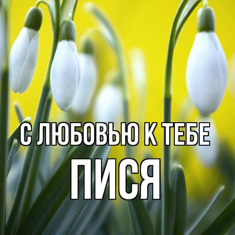 Картинка С любовью к тебе, Пися