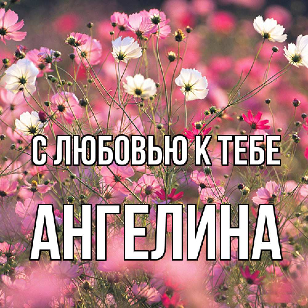 Открытка  с именем. Ангелина, С любовью к тебе  