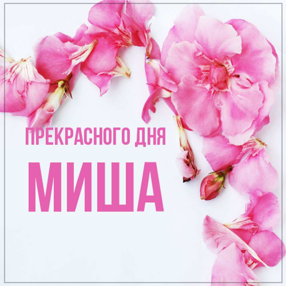 Открытка  с именем. Миша, Прекрасного дня  