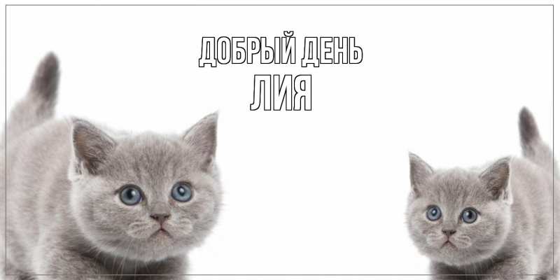 Открытка с именем, Лия, Добрый день