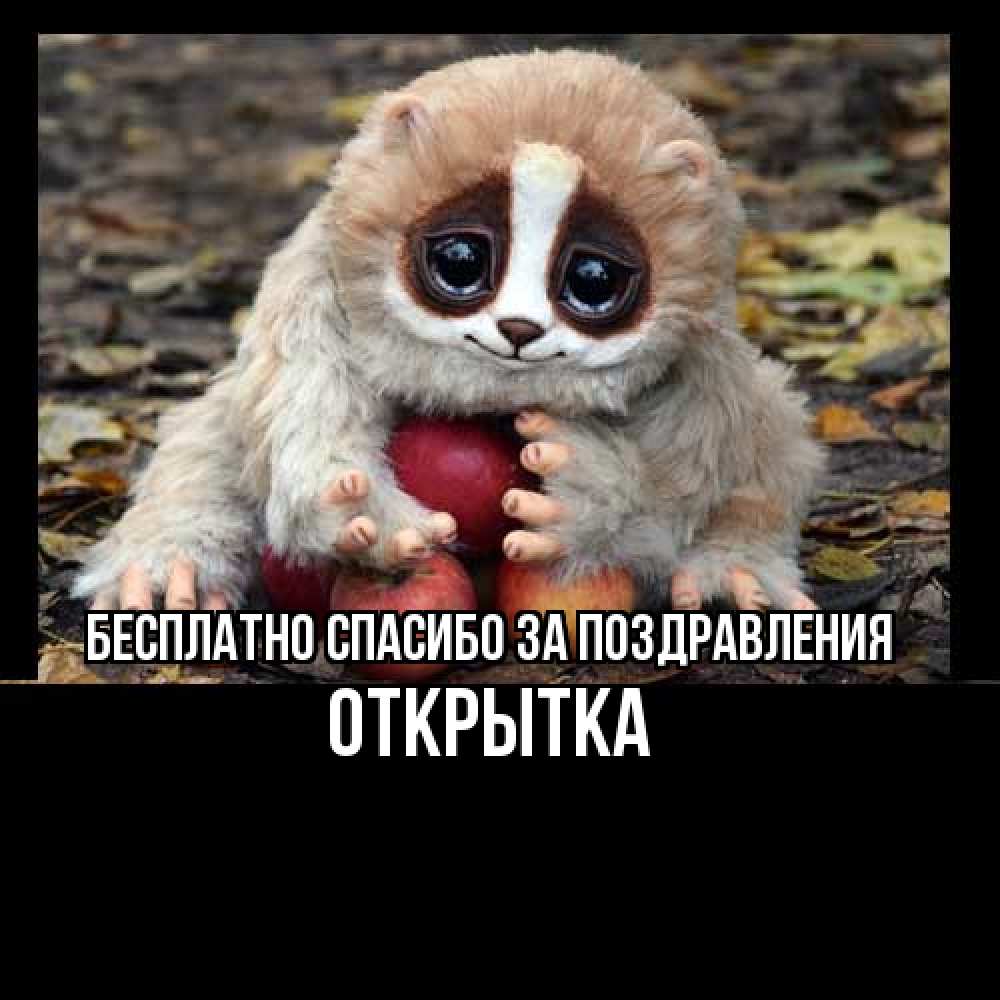 Открытка  с именем. открытка, Спасибо за поздравления  