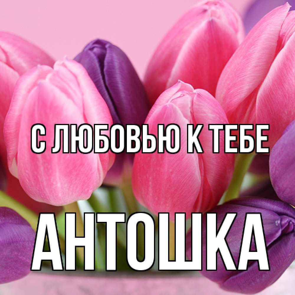 Открытка  с именем. Антошка, С любовью к тебе  