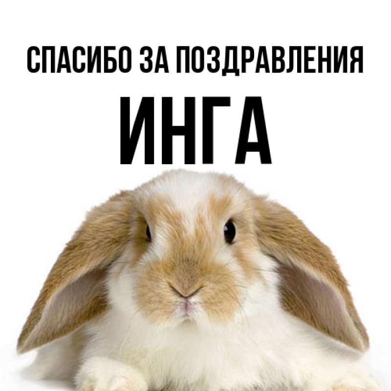Картинка Спасибо за поздравления, Инга