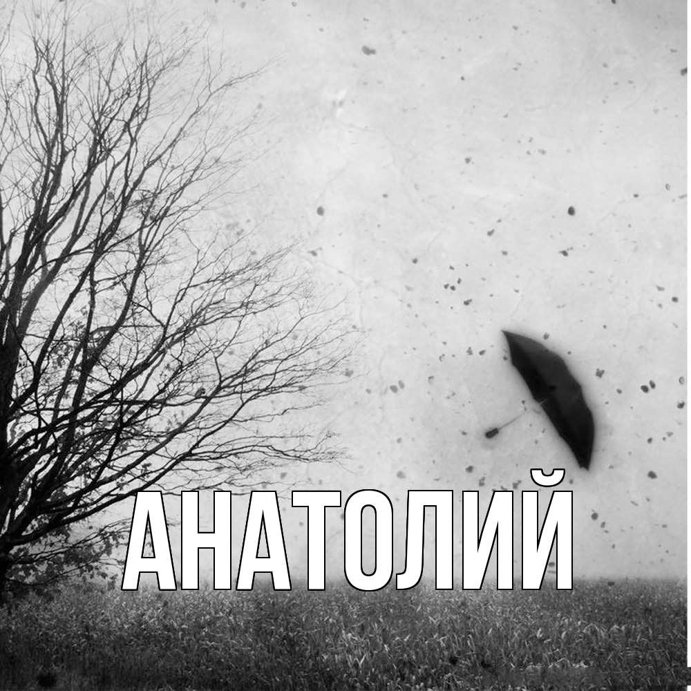 Открытка  с именем. Анатолий, Главная  