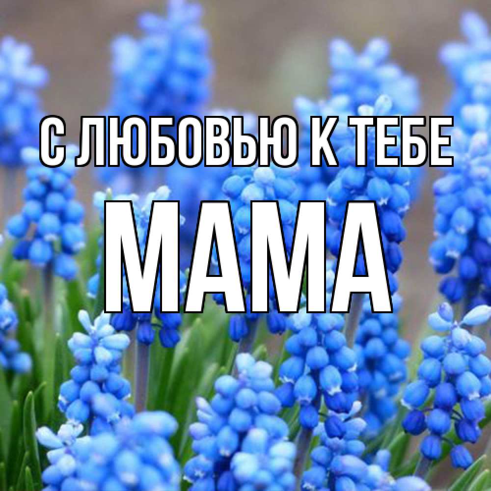 Открытка  с именем. Мама, С любовью к тебе  