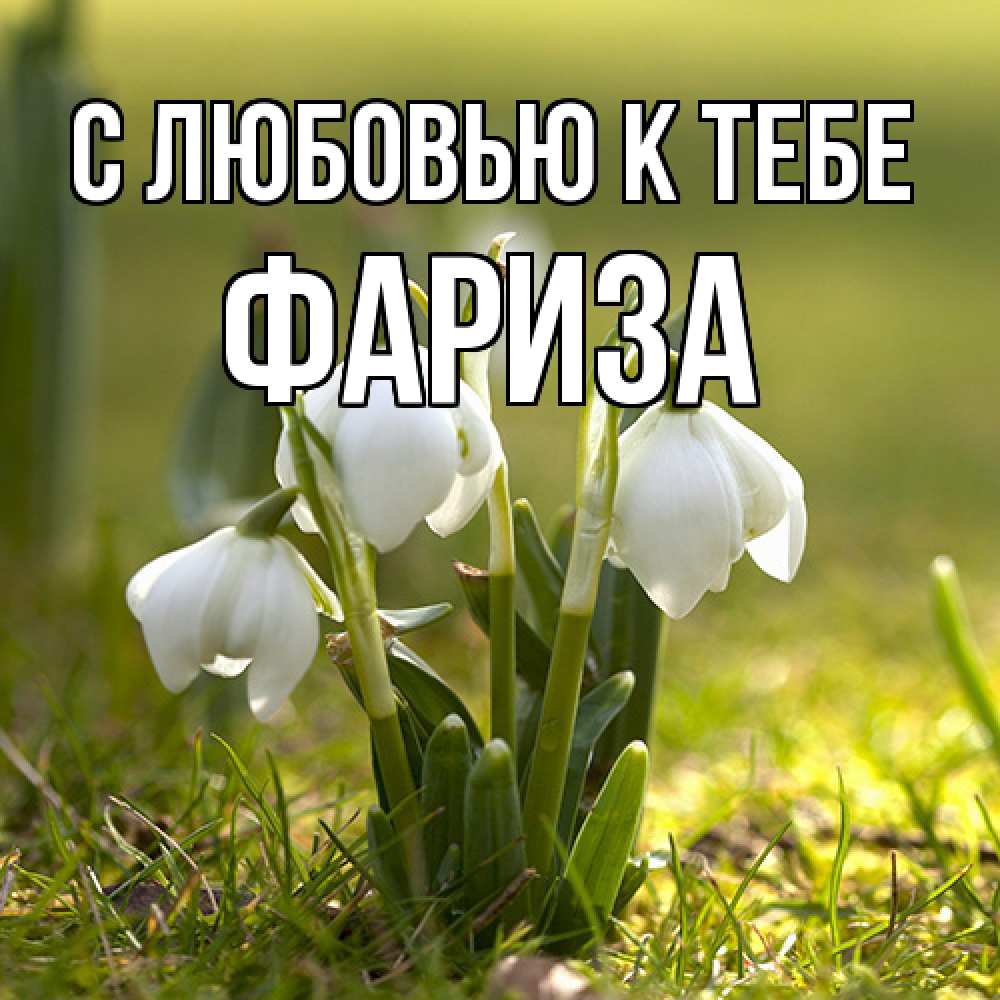 Открытка  с именем. Фариза, С любовью к тебе  