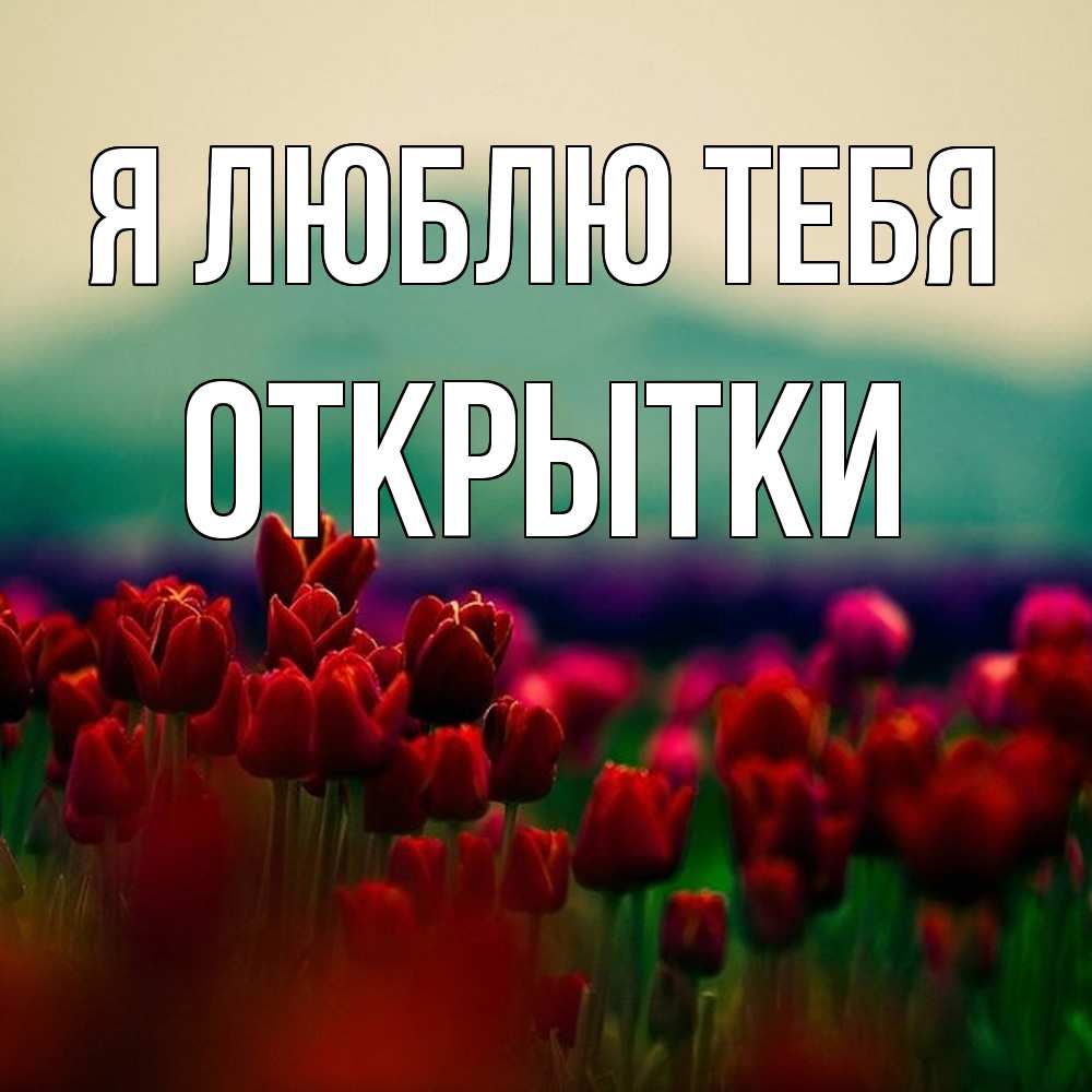Открытка  с именем. открытки, Я люблю тебя  
