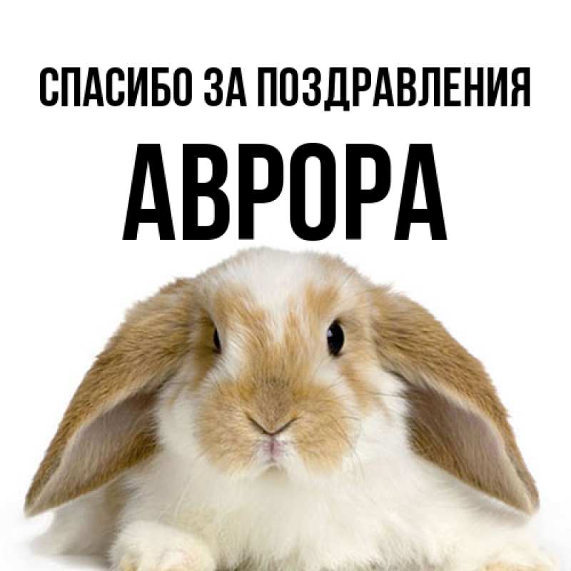Картинка Спасибо за поздравления, Аврора