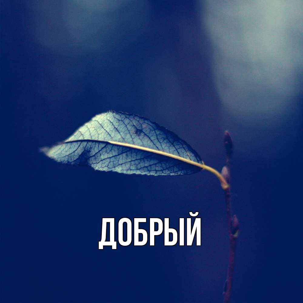 Открытка  с именем. Добрый, Главная  