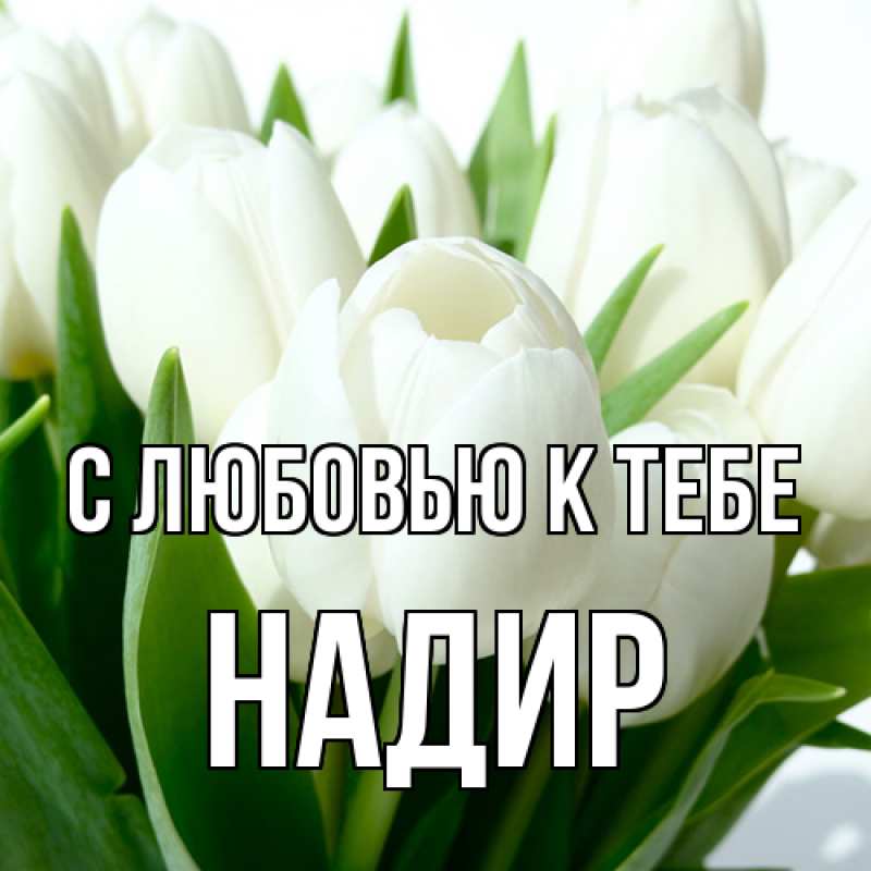 Картинка С любовью к тебе, Надир