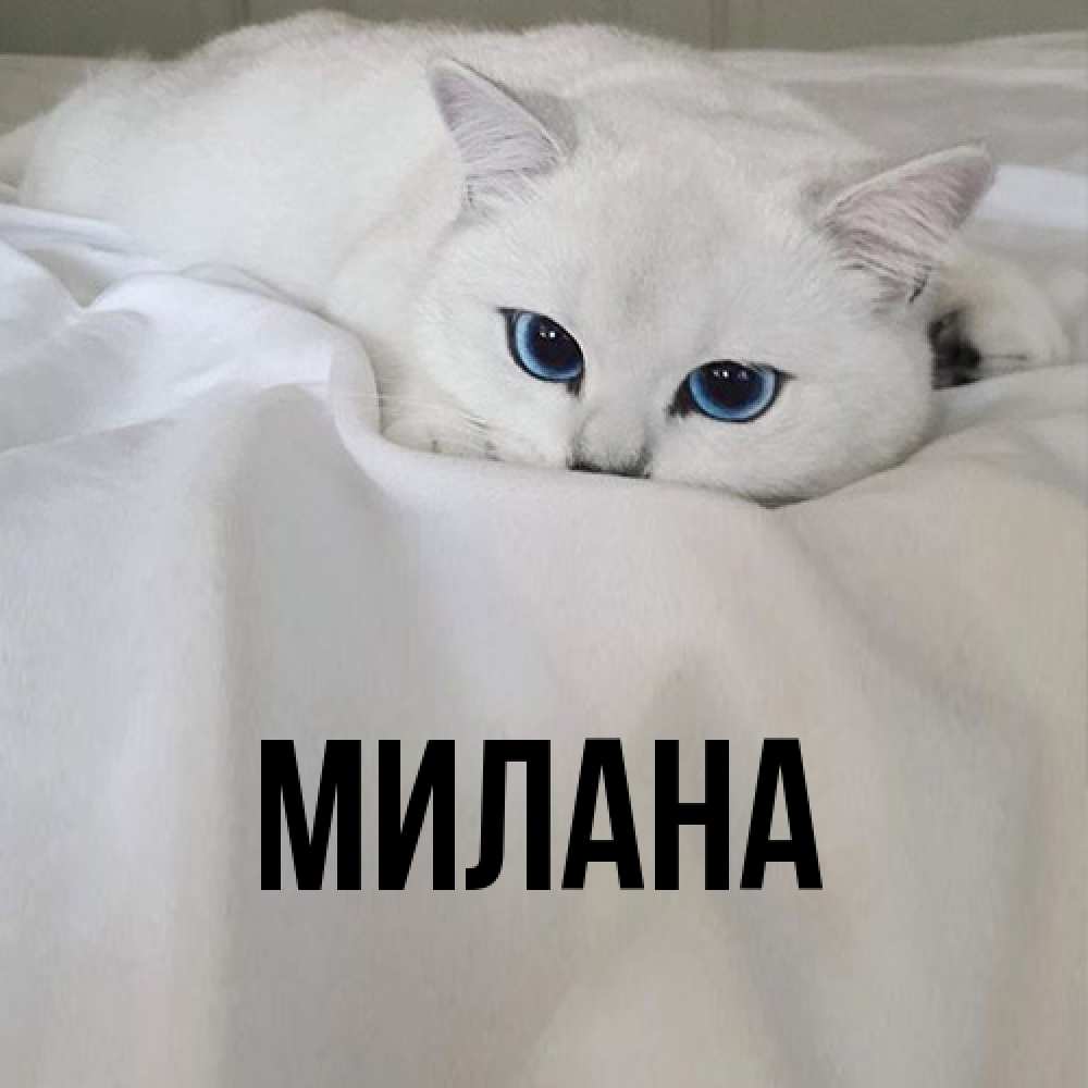 Открытка  с именем. Милана, Главная  