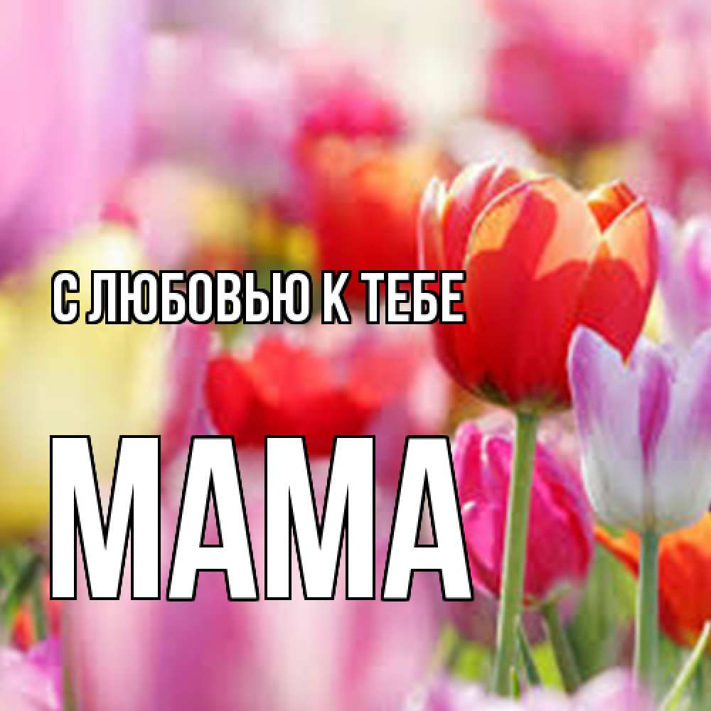 Открытка  с именем. Мама, С любовью к тебе  