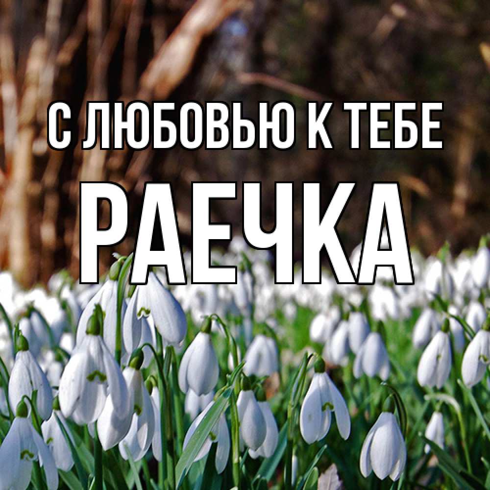 Открытка  с именем. Раечка, С любовью к тебе  
