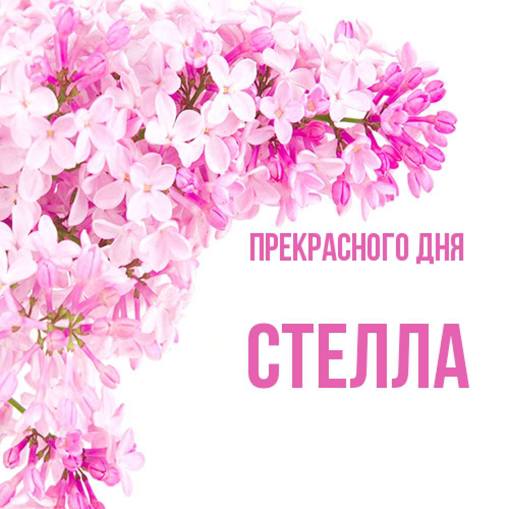 Открытка  с именем. стелла, Прекрасного дня  