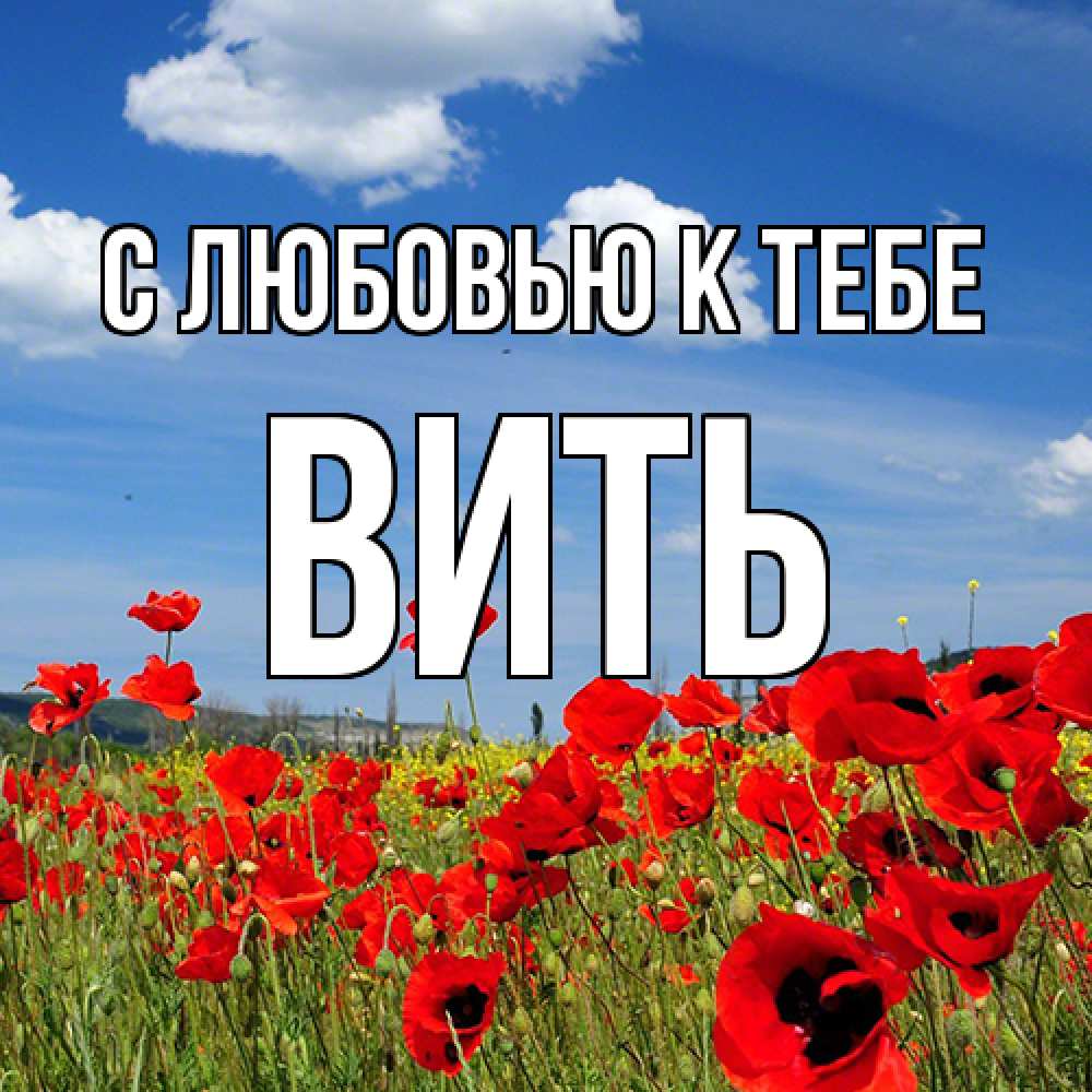 Открытка  с именем. Вить, С любовью к тебе  