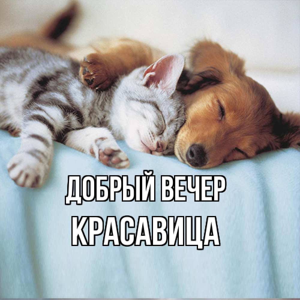Открытка  с именем. Красавица, Добрый вечер  