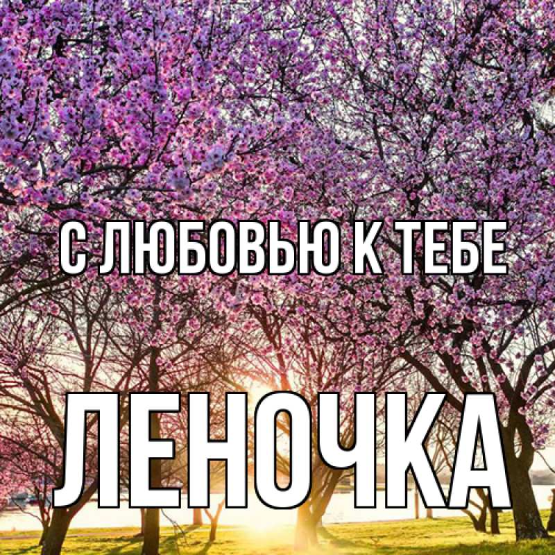 Картинка С любовью к тебе, ЛЕНОЧКА