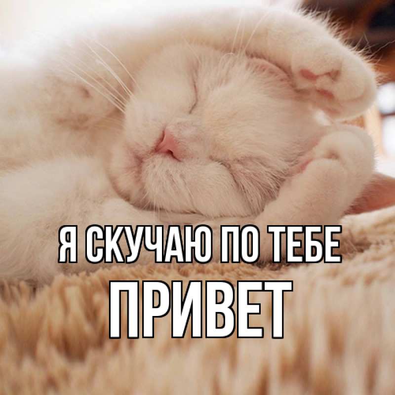 Картинка Я скучаю по тебе, Привет