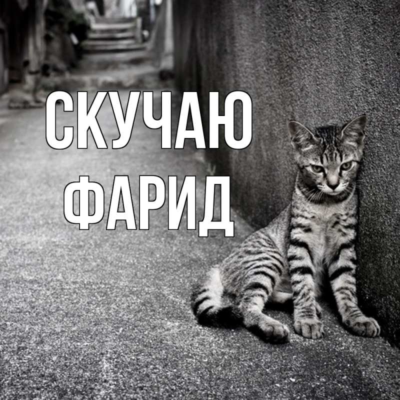 Картинка Скучаю, Фарид