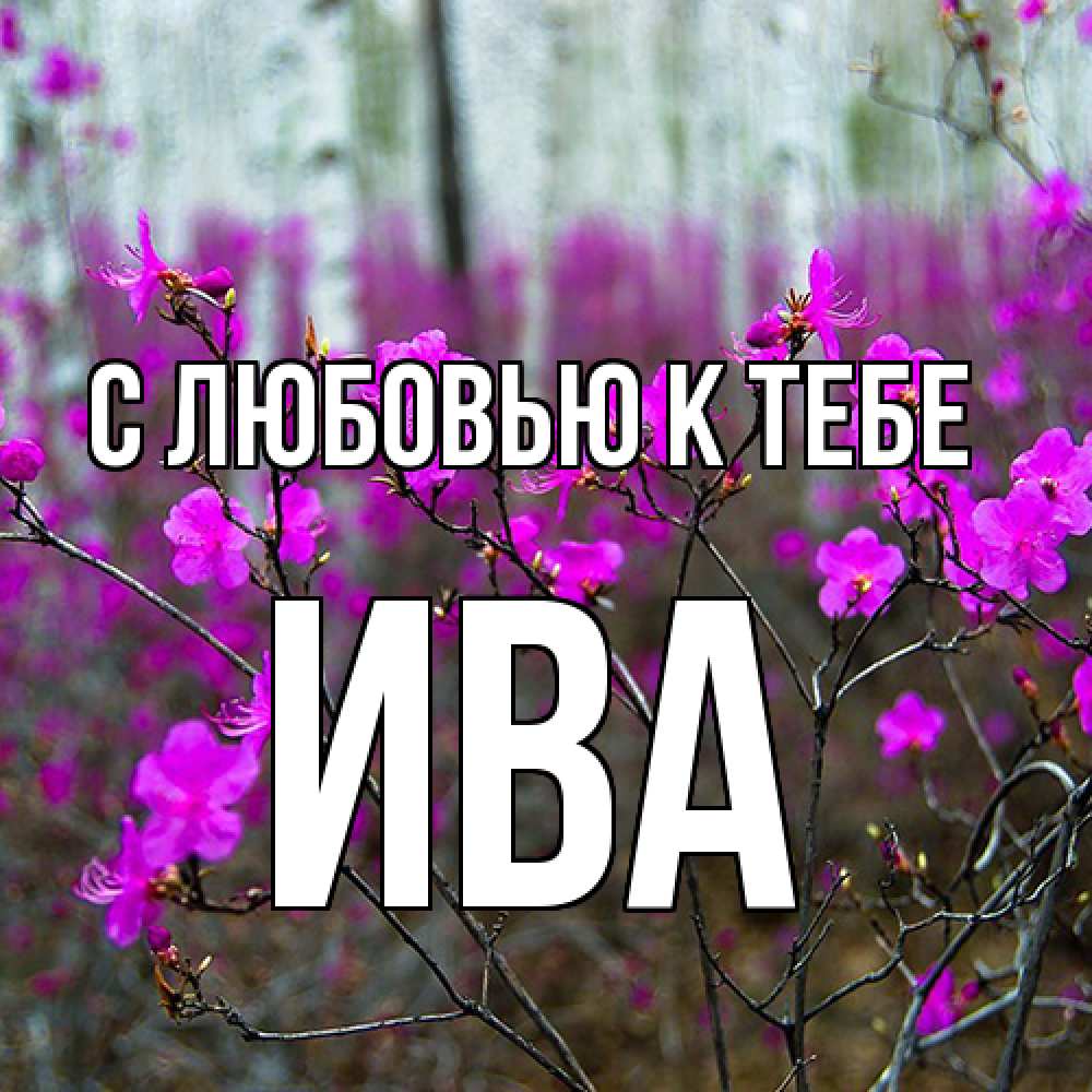 Открытка  с именем. Ива, С любовью к тебе  