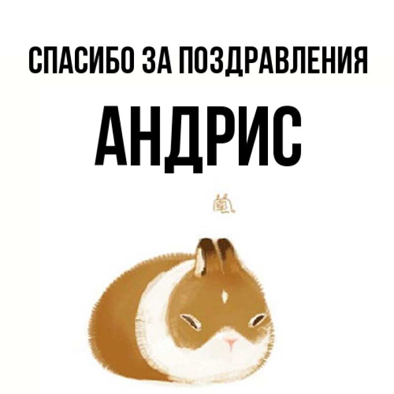 Картинка Спасибо за поздравления, Андрис