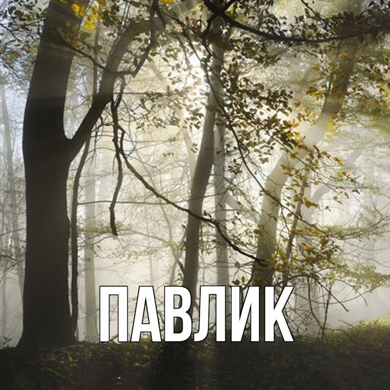 Картинка  с именем , Павлик