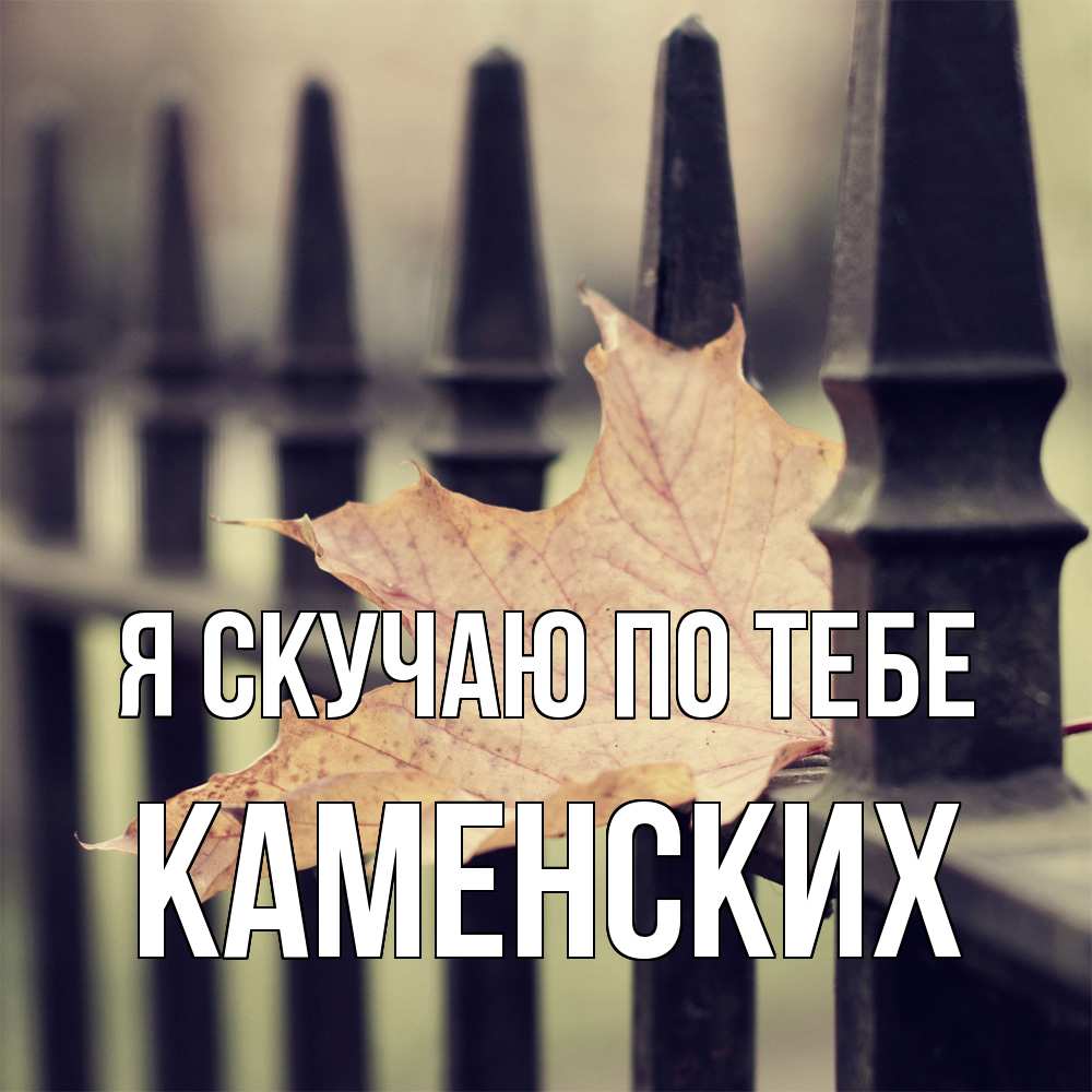 Открытка  с именем. Каменских, Я скучаю по тебе  