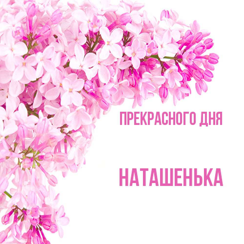 Открытка  с именем. НАТАШЕНЬКА, Прекрасного дня  
