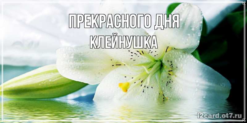 Картинка Прекрасного дня, Клейнушка