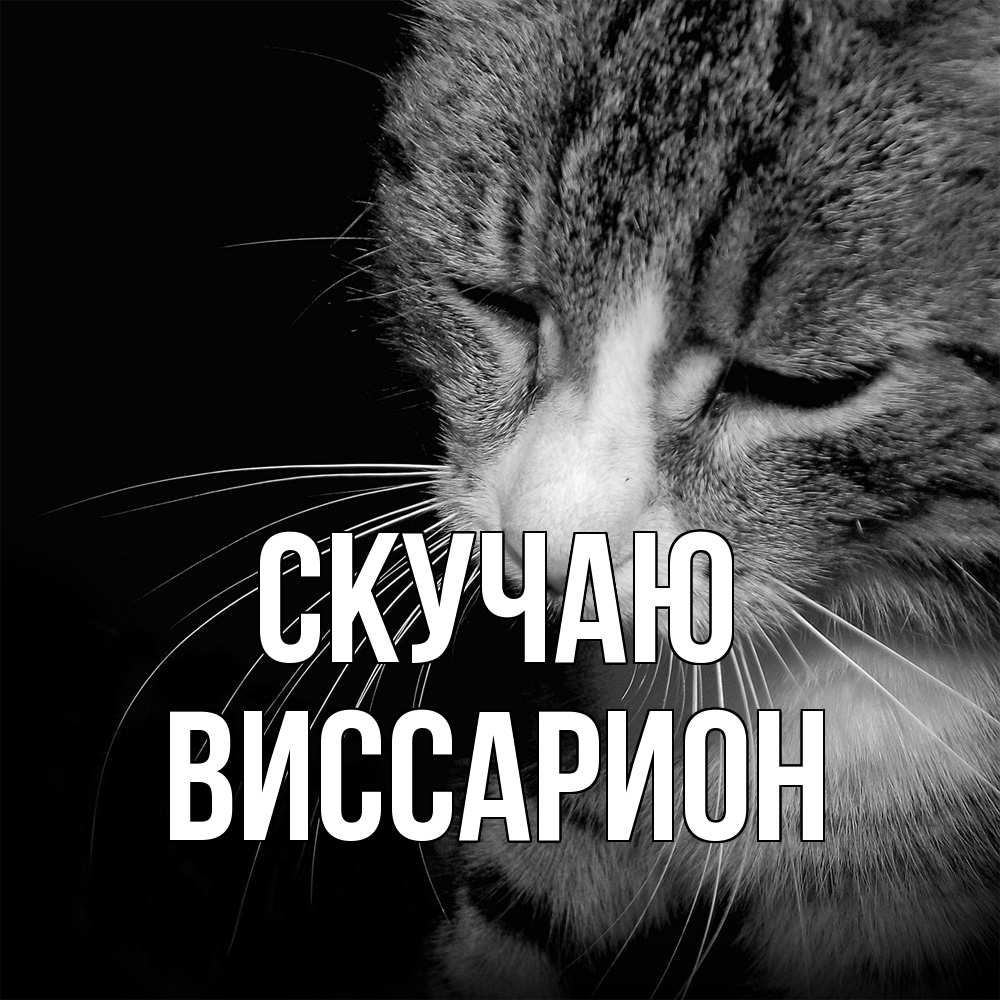 Открытка  с именем. Виссарион, Скучаю  