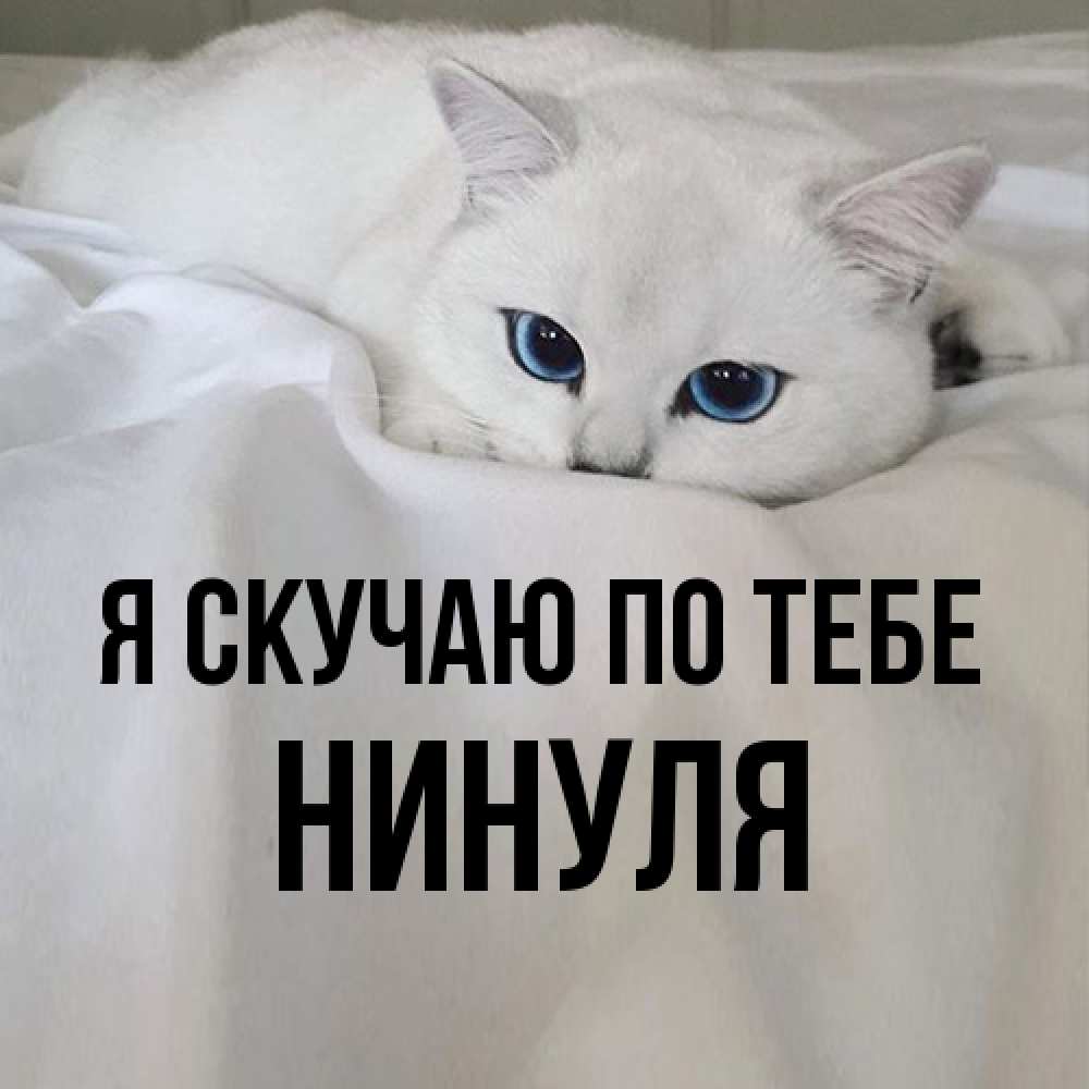 Открытка  с именем. Нинуля, Я скучаю по тебе  