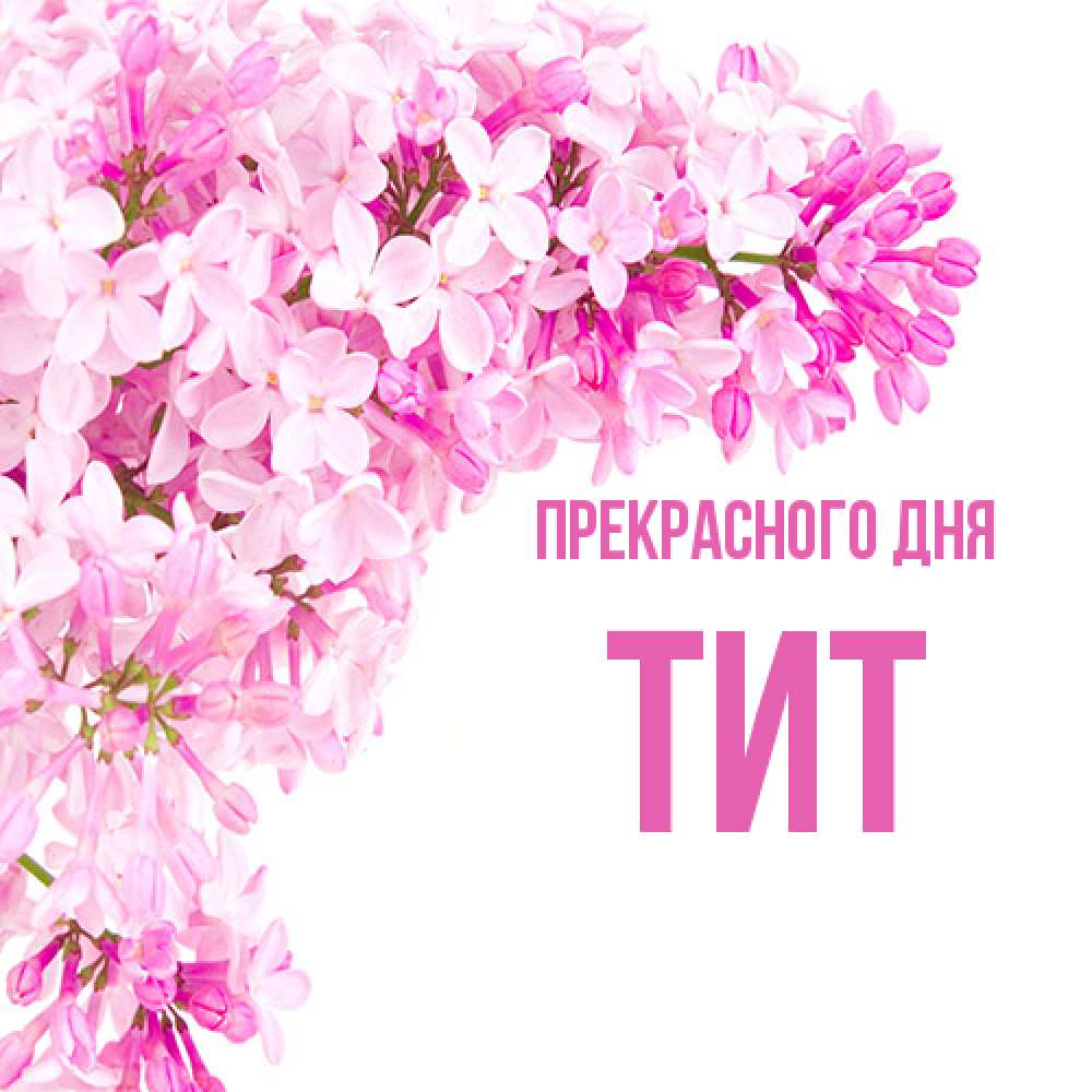 Открытка  с именем. Тит, Прекрасного дня  