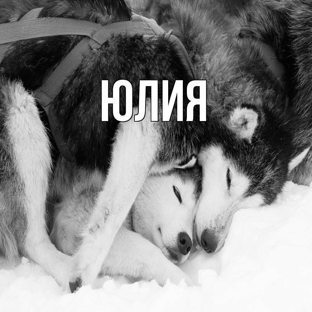 Открытка  с именем. Юлия, Главная  