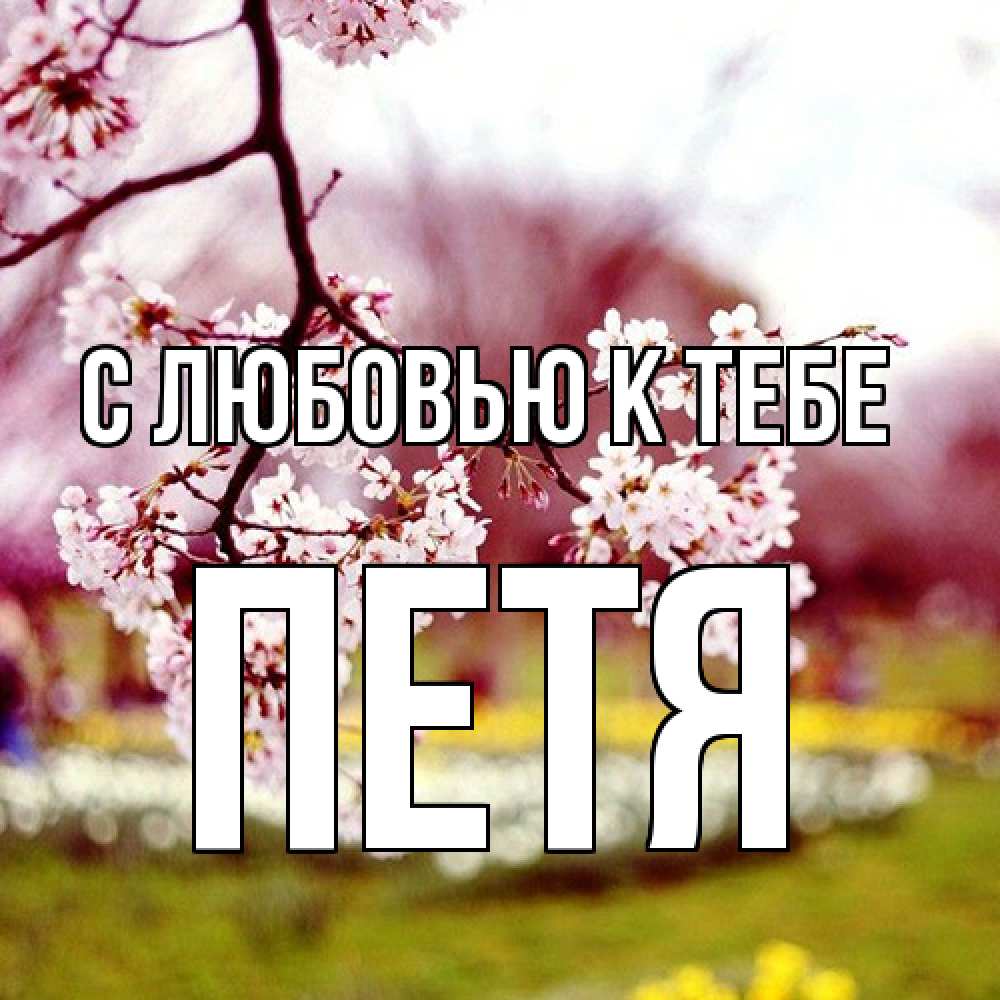 Открытка  с именем. петя, С любовью к тебе  
