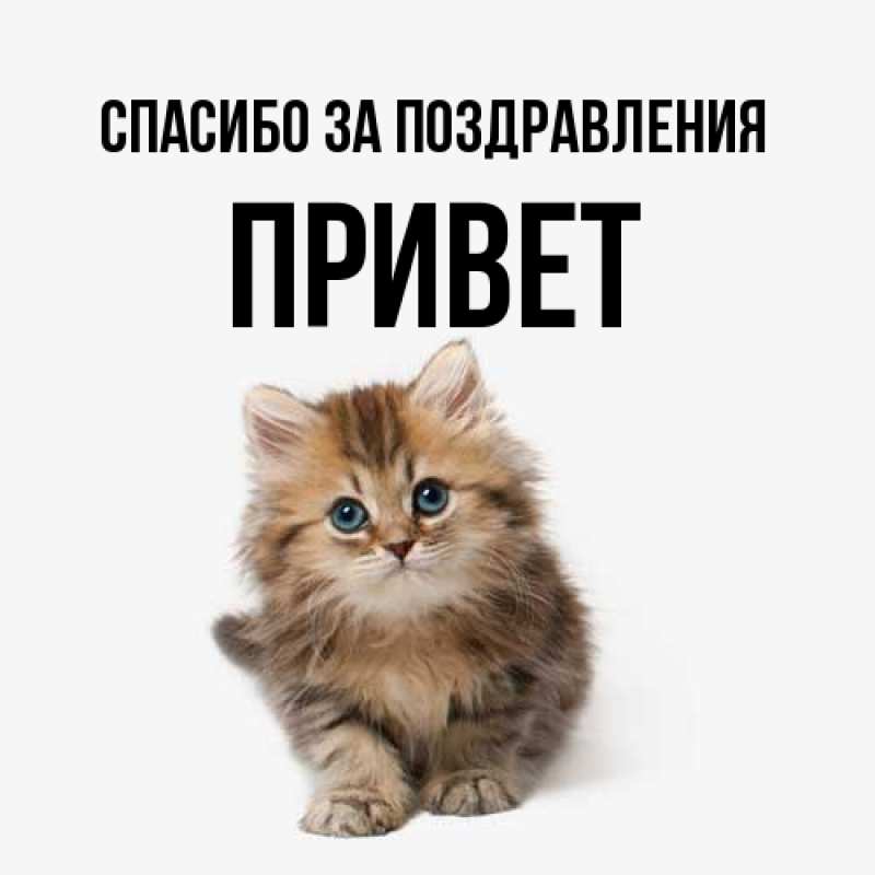 Картинка Спасибо за поздравления, Привет