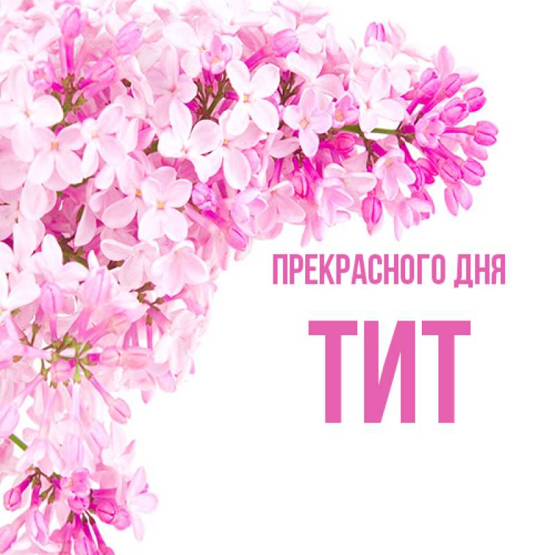 Картинка Прекрасного дня, Тит