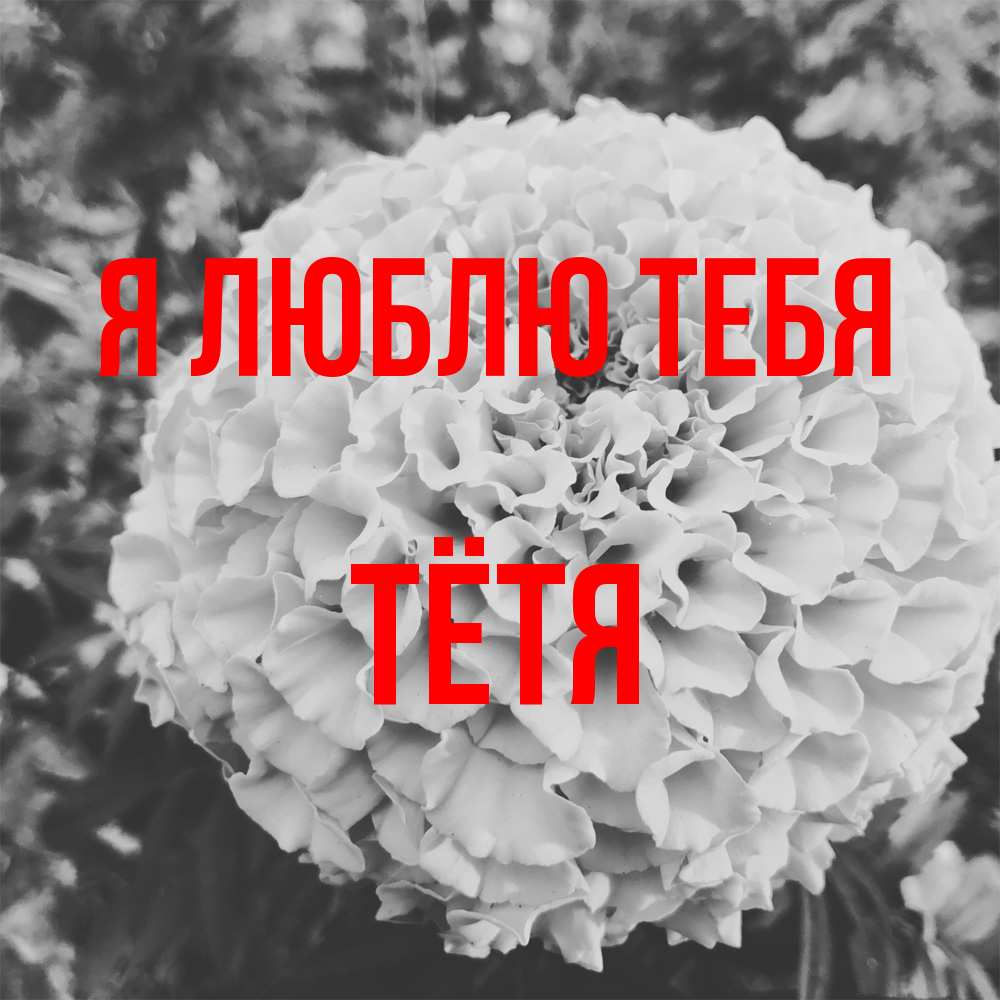 Открытка  с именем. Тётя, Я люблю тебя  