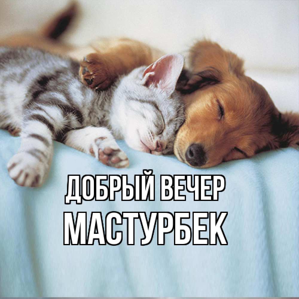 Открытка  с именем. Мастурбек, Добрый вечер  