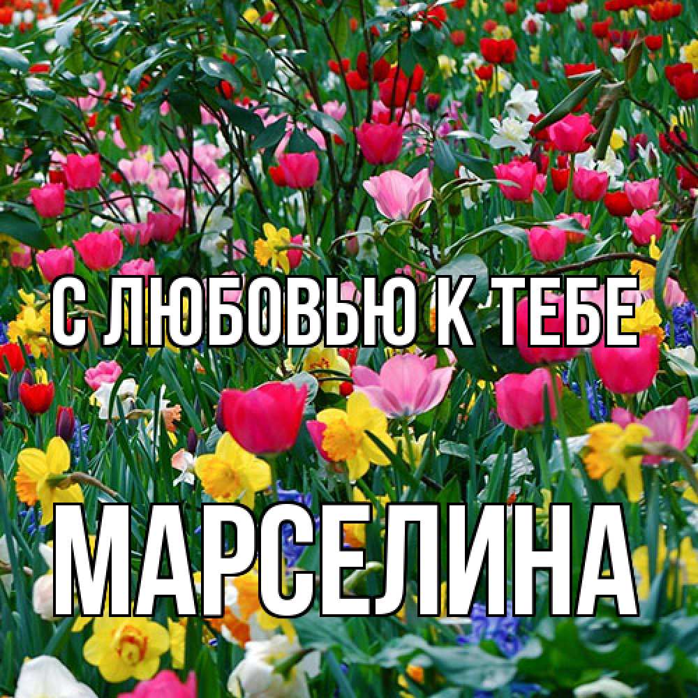 Открытка  с именем. Марселина, С любовью к тебе  