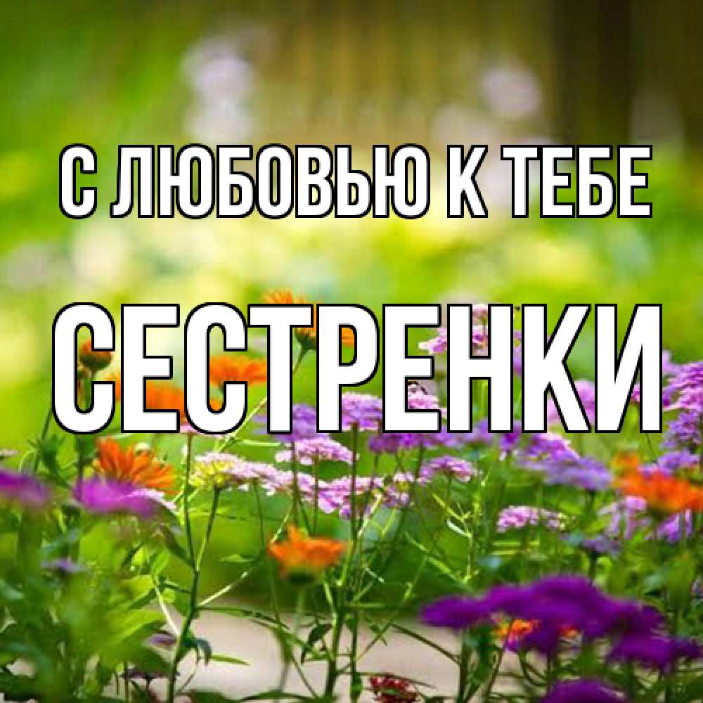 Открытка  с именем. Сестренки, С любовью к тебе  