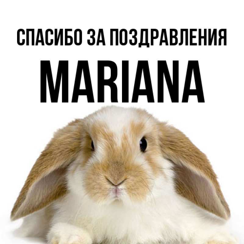 Картинка Спасибо за поздравления, mariana