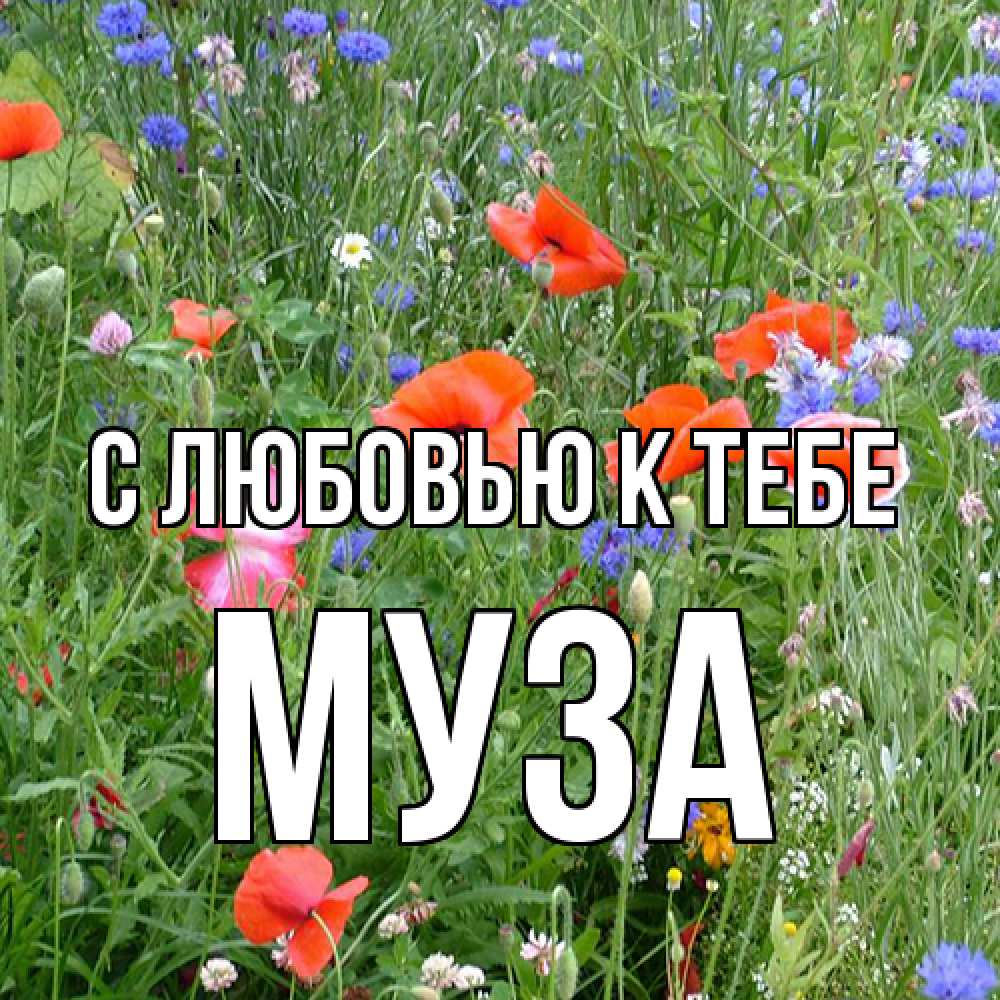 Открытка  с именем. Муза, С любовью к тебе  